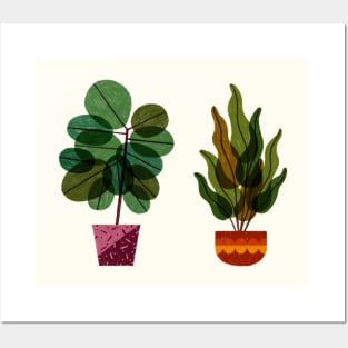 House Plants Posters and Art